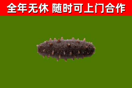 徐州市烟酒回收干海参.jpg